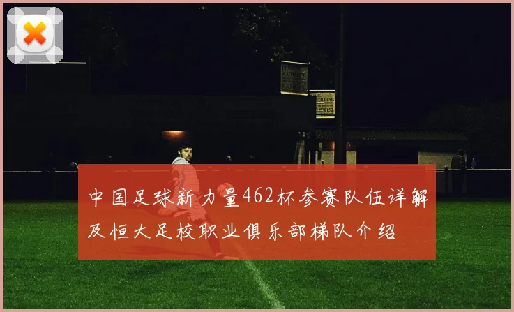 中国足球新力量462杯参赛队伍详解及恒大足校职业俱乐部梯队介绍