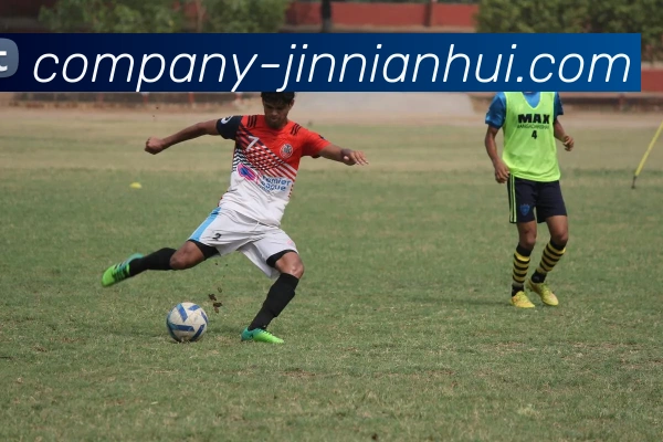 今年会官网平台生态图